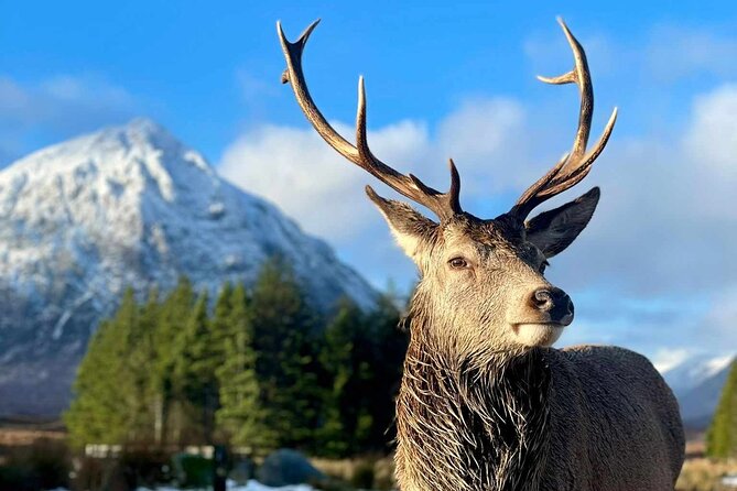 Scottish Highlands, Loch Ness and Glencoe Day Trip from Edinburgh - Loch Ness: the biggest stop of the day