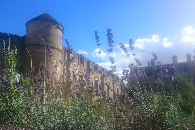 St Andrews, Falkland and Fife Villages Tour from Edinburgh - Anstruther Harbour and the East Neuk pause