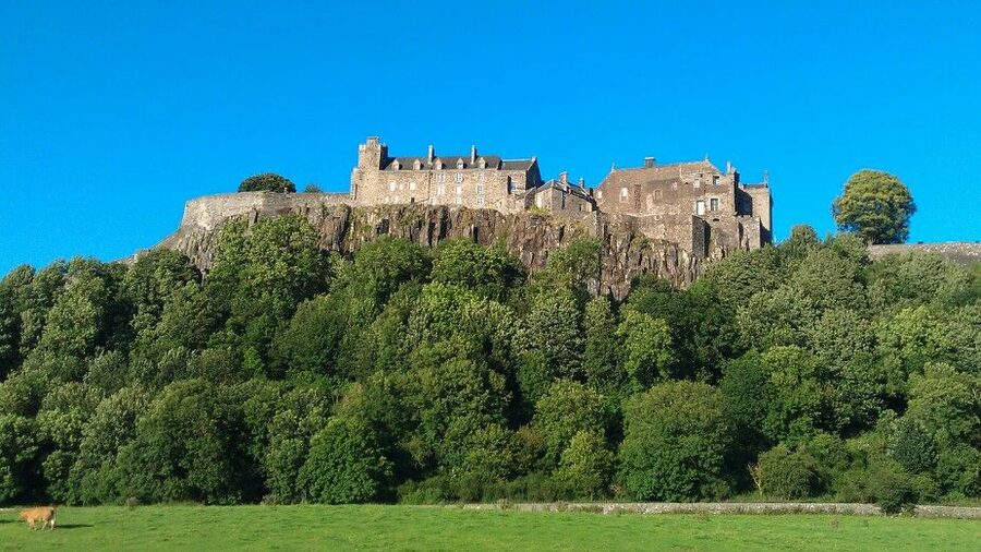 Stirling Castle, Highland Lochs & Whisky Tour from Edinburgh - Highland cows and the road to Loch Lomond
