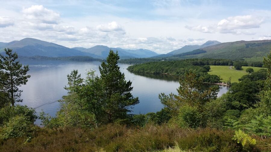 Stirling Castle, Highland Lochs & Whisky Tour from Edinburgh - What the Mercedes mini-coach means for your day
