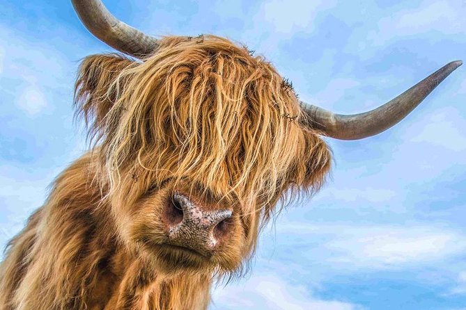 Stirling Castle Loch Lomond and Trossachs National Park day tour - Key points at a glance