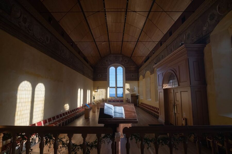 Stirling Castle: Skip-the-Line Guided Tour in Spanish - John Damian, the bird-man of Stirling Castle