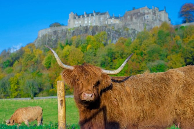 Stirling Castle,Trossachs National and Loch Lomond Day Tour from Edinburgh - Balmaha and Loch Lomond: an hour by the Bonnie Banks